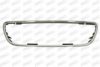 PRASCO DS0142305 Trim/Protective Strip, radiator grille